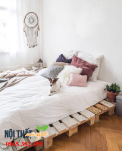 Giường pallet giá rẻ GN50 với màu PU trần mộc mạc
