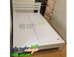 Giường ngủ GN35 giá rẻ