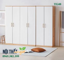 Mẫu tủ quần áo TG40 thiết kế 6 cánh