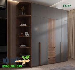 Hệ tủ quần áo kịch trần TG47