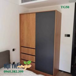 Mẫu tủ quần áo 2 cánh TG50