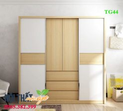 Mẫu tủ quần áo hiện đại TG44