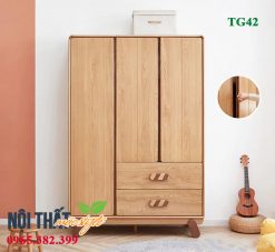 Mẫu tủ quần áo trẻ em TG42