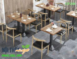 Bàn ghế nhà hàng với mẫu ghế Bull sừng bò đầy sức hút