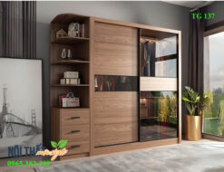 Tủ quần áo cửa trượt cánh kính TG137