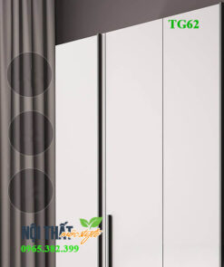 chi tiết cánh tủ quần áo Tg62