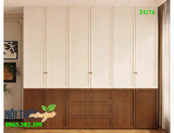 tủ quần áo hiện đại Tg74